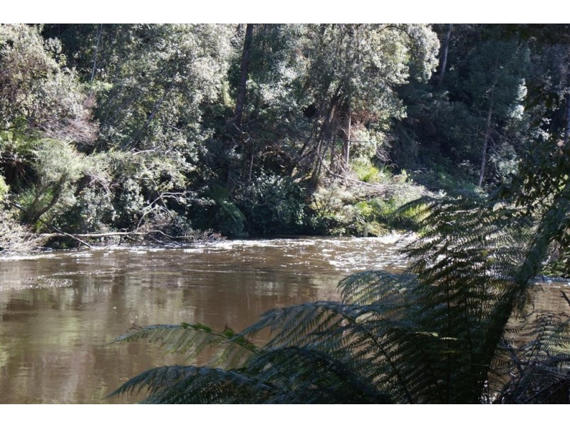 322 Harveys Road, North Motton TAS 7315