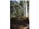 322 Harveys Road, North Motton TAS 7315