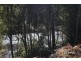 322 Harveys Road, North Motton TAS 7315