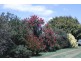9 Central Castra Road, Sprent TAS 7315