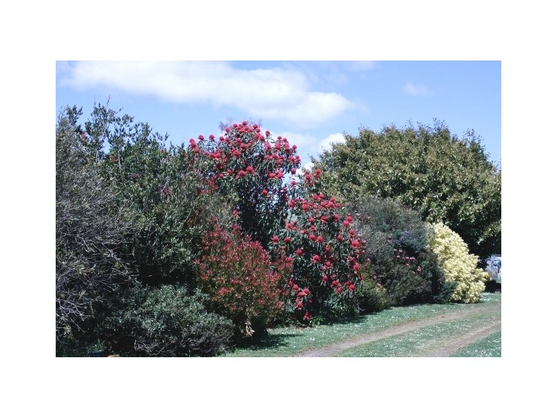 9 Central Castra Road, Sprent TAS 7315