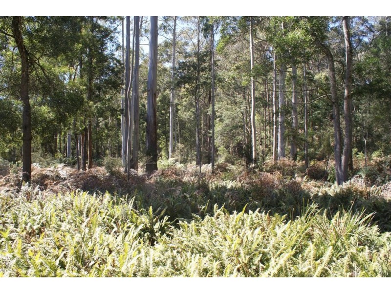 322 Harveys Road, North Motton TAS 7315