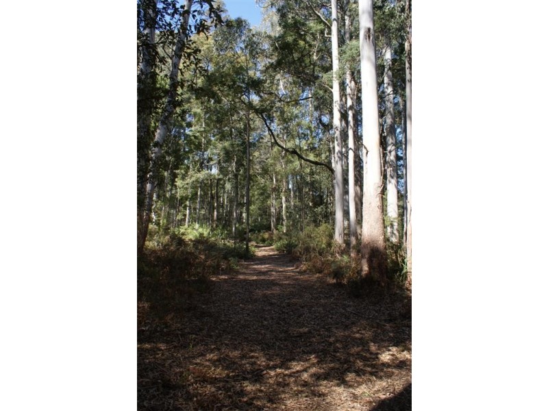 322 Harveys Road, North Motton TAS 7315