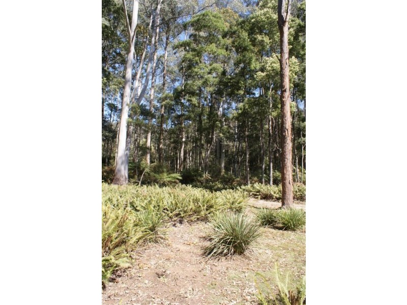 322 Harveys Road, North Motton TAS 7315