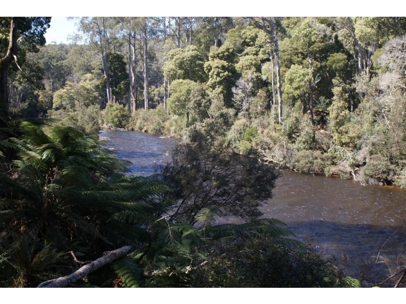 322 Harveys Road, North Motton TAS 7315