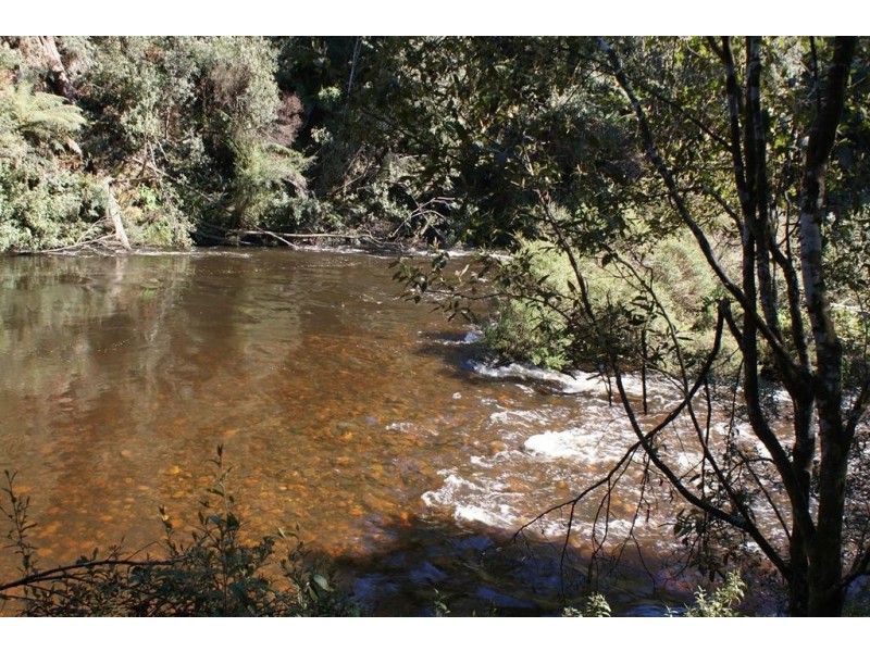 322 Harveys Road, North Motton TAS 7315