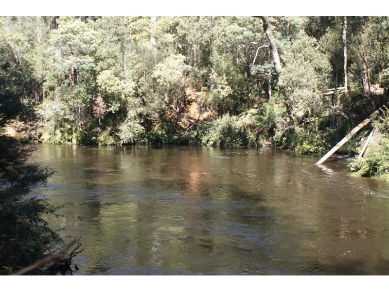 322 Harveys Road, North Motton TAS 7315