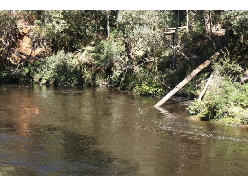 322 Harveys Road, North Motton TAS 7315