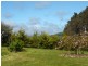 4 Clarkes Road, South Riana TAS 7316