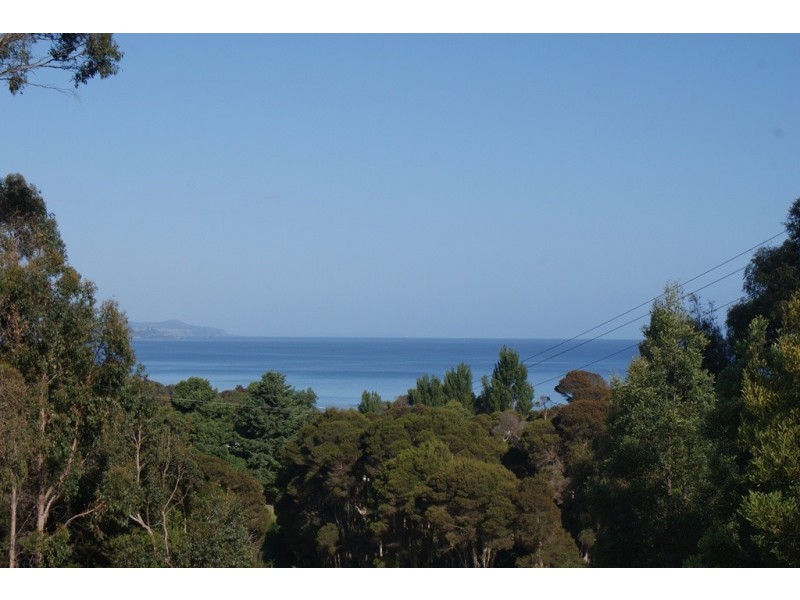 174 Allport Street, Leith TAS 7315