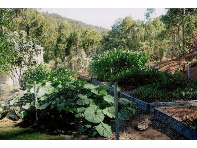 1060 Wilmot Road, Kindred, Forth TAS 7310