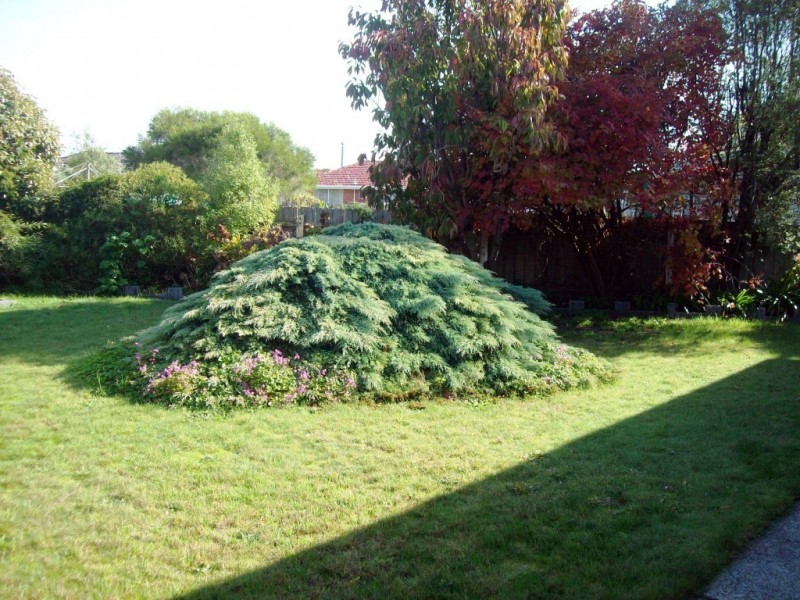 4 Julia Crescent, Ulverstone TAS 7315