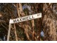 Lot 2 Maxwell Street, West Ulverstone TAS 7315