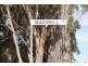 Lot 7 Maxwell Street, Ulverstone TAS 7315