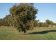 Lot 7 Maxwell Street, Ulverstone TAS 7315
