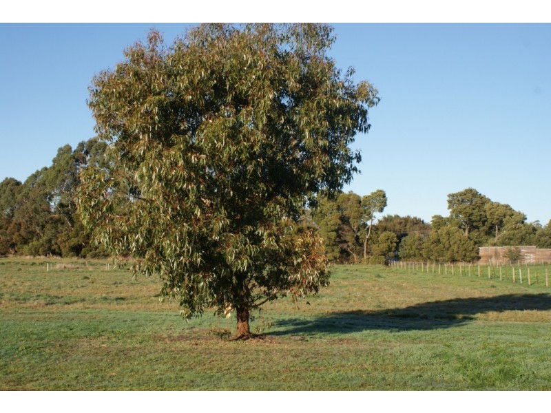 Lot 7 Maxwell Street, Ulverstone TAS 7315