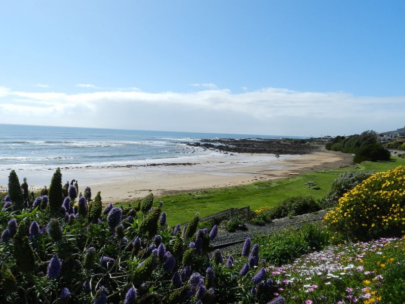 7 Cann Street, Penguin TAS 7316