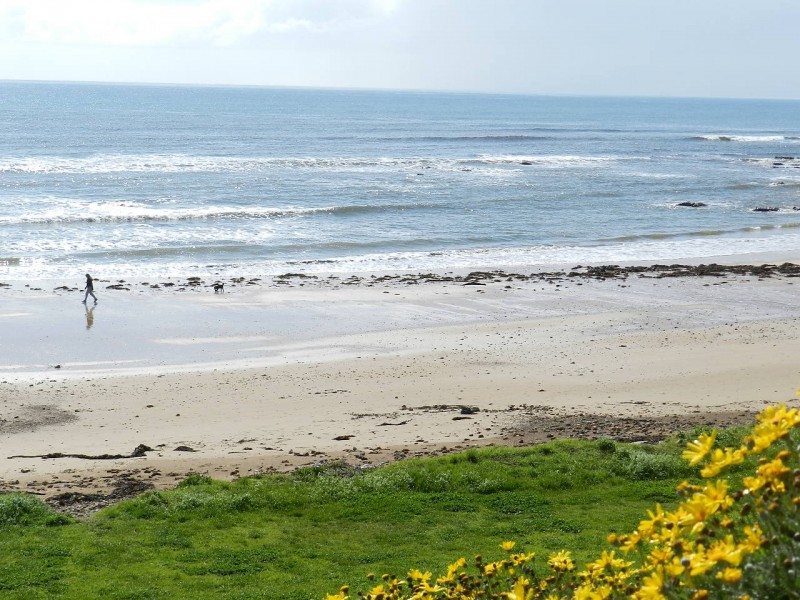 7 Cann Street, Penguin TAS 7316