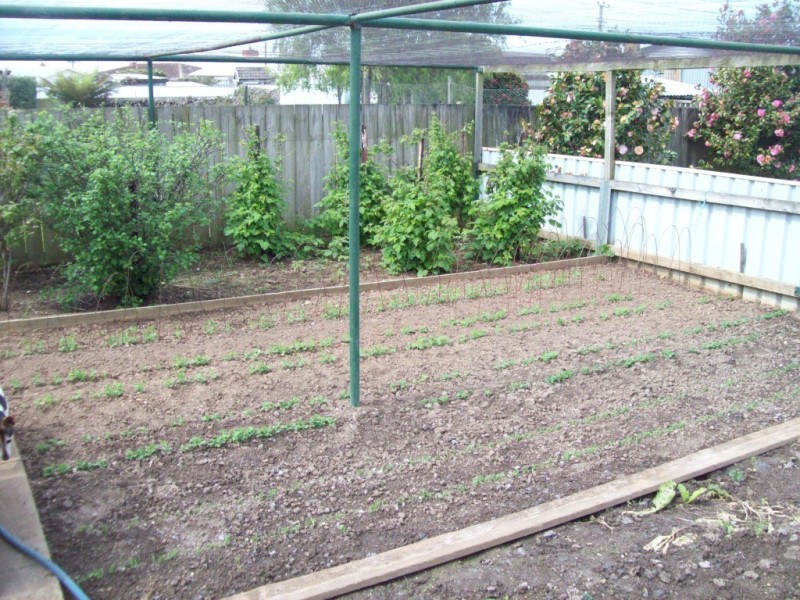 3 Crisling Place, Penguin TAS 7316