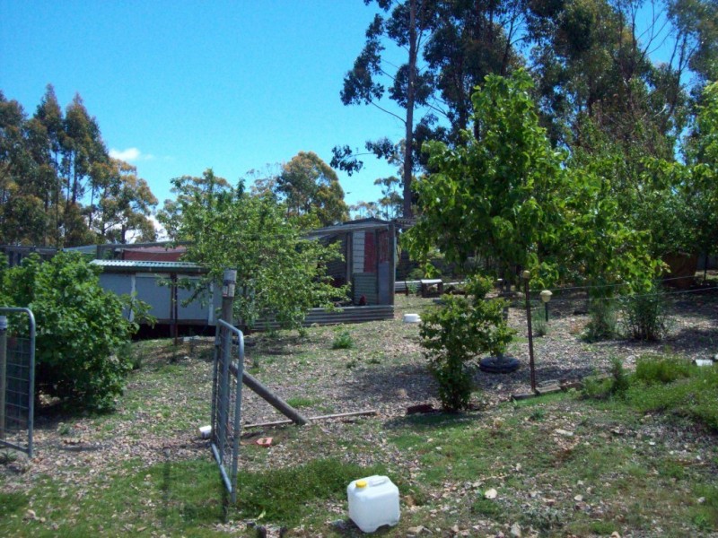 1595 Wilmot Road, Lower Wilmot TAS 7310