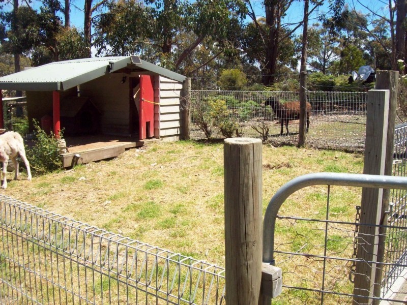 1595 Wilmot Road, Lower Wilmot TAS 7310