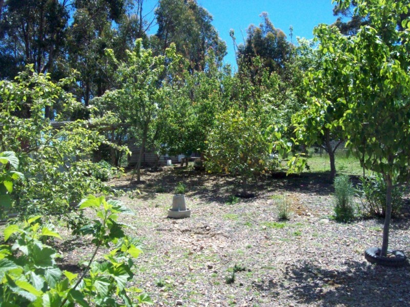 1595 Wilmot Road, Lower Wilmot TAS 7310