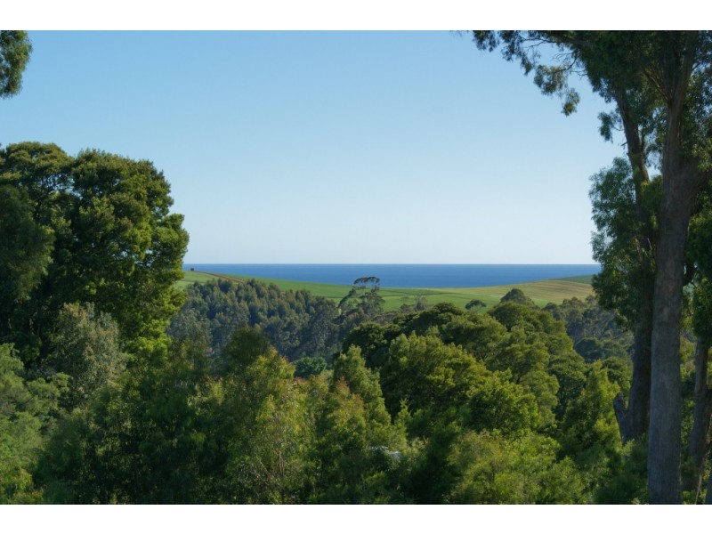 63 White Hills Road, Penguin TAS 7316