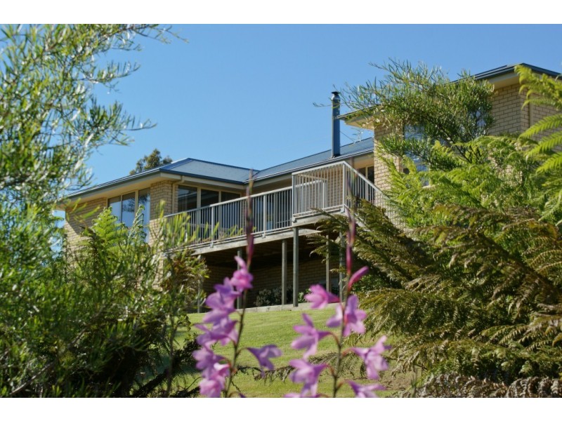 63 White Hills Road, Penguin TAS 7316