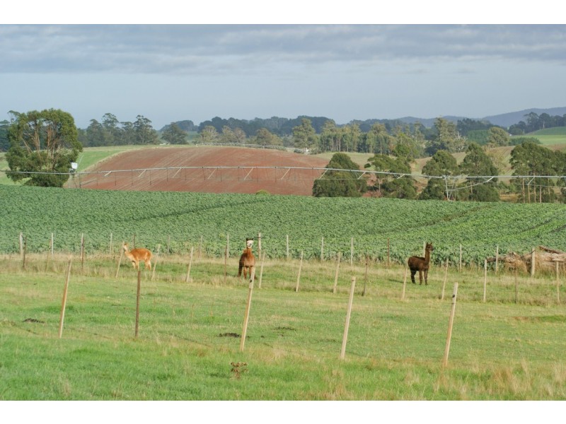 840 Kindred Road, Kindred TAS 7310