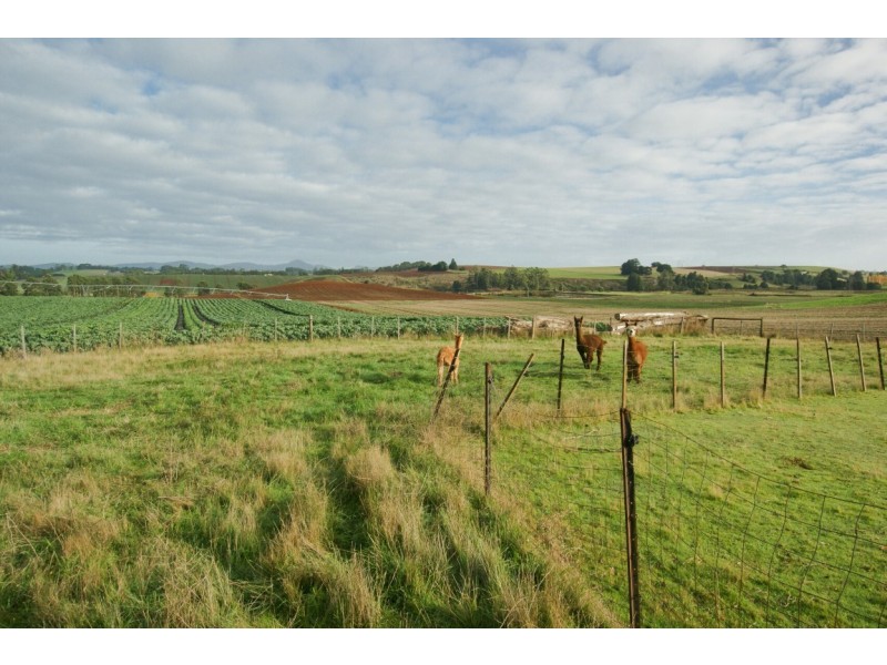 840 Kindred Road, Kindred TAS 7310