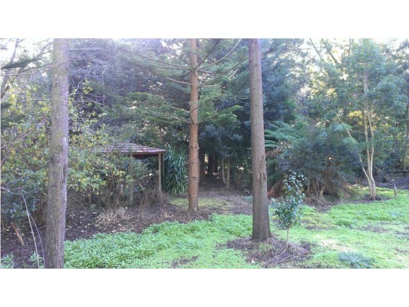 655 Wilmot Road, Forth TAS 7310