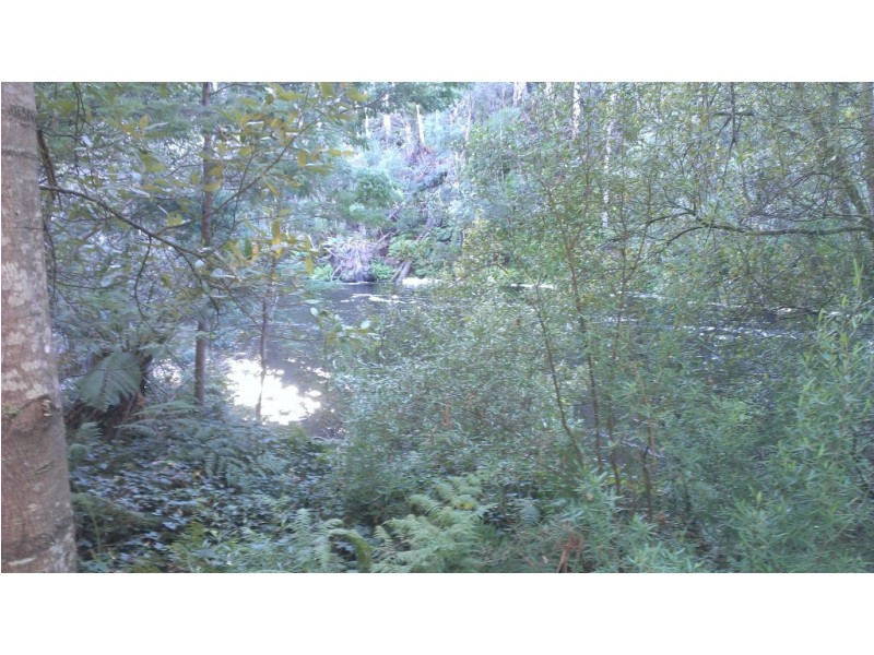 655 Wilmot Road, Forth TAS 7310