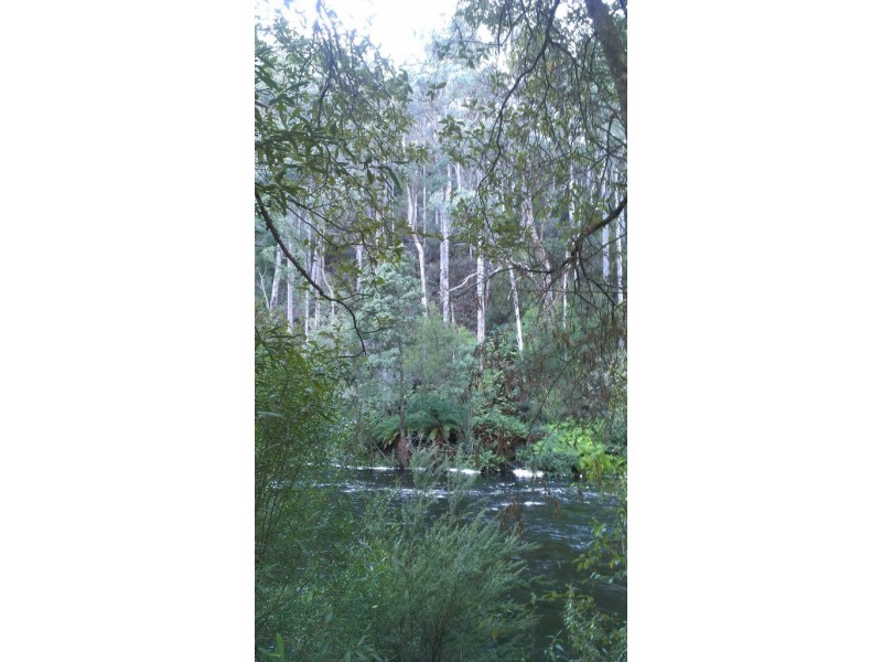 655 Wilmot Road, Forth TAS 7310