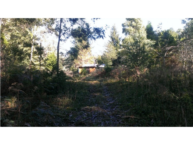 655 Wilmot Road, Forth TAS 7310
