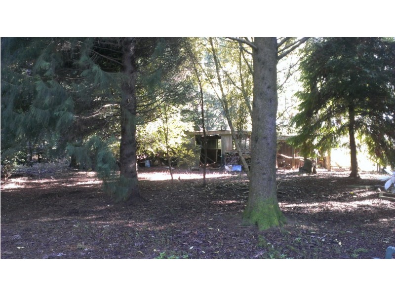 655 Wilmot Road, Forth TAS 7310