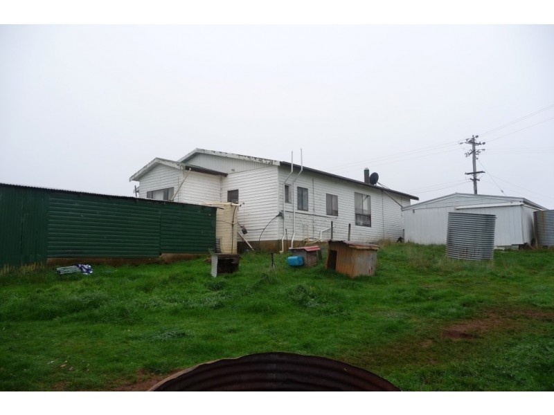 224 Back Road, Lower Wilmot TAS 7310