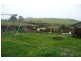 224 Back Road, Lower Wilmot TAS 7310