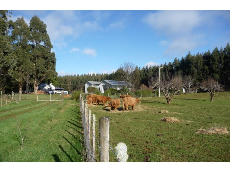 60 Spellmans Road, Upper Castra TAS 7315