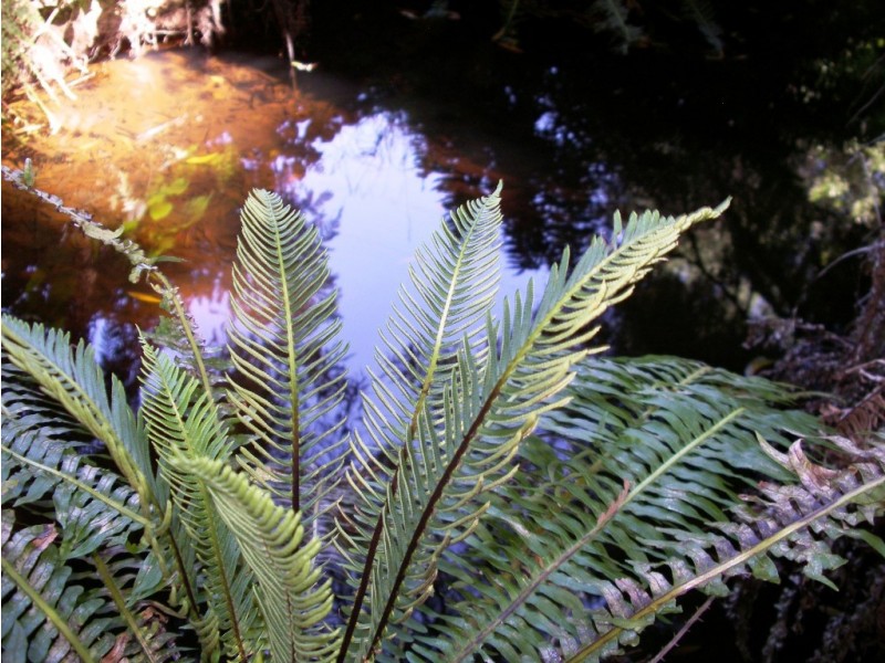 609 Ironcliffe Road, Penguin TAS 7316