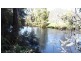 150 Purtons Road, North Motton TAS 7315