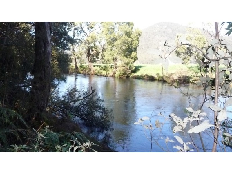 150 Purtons Road, North Motton TAS 7315