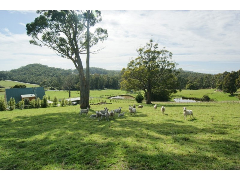 211 Bellamy Road, Forthside TAS 7310
