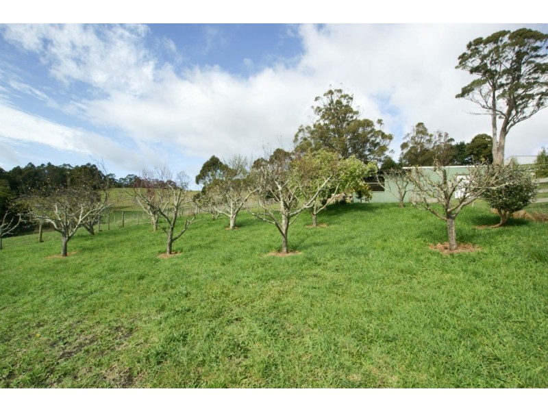 211 Bellamy Road, Forthside TAS 7310