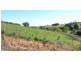 Lot 7 Brookevale Road, Ulverstone TAS 7315