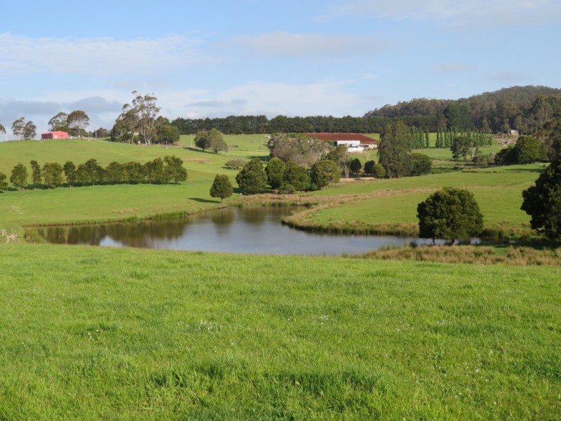 309 Bellamy Road, Forthside TAS 7310