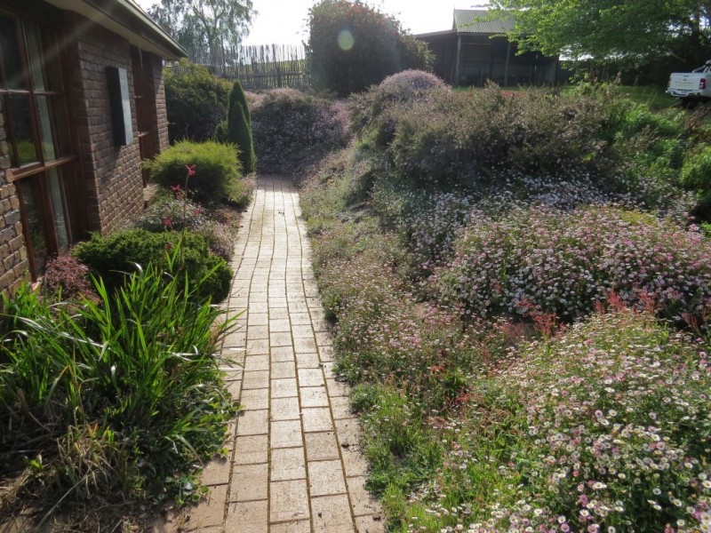 309 Bellamy Road, Forthside TAS 7310