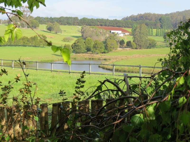 309 Bellamy Road, Forthside TAS 7310