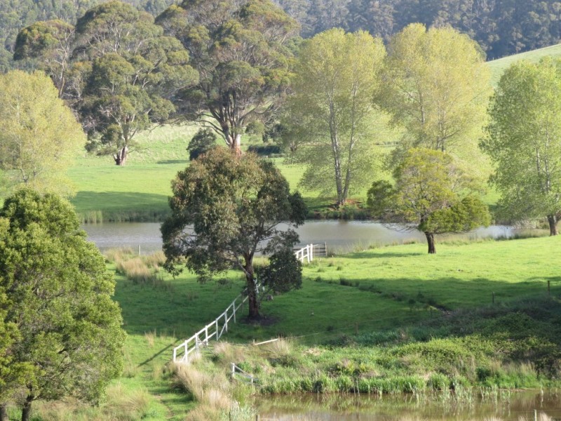 309 Bellamy Road, Forthside TAS 7310