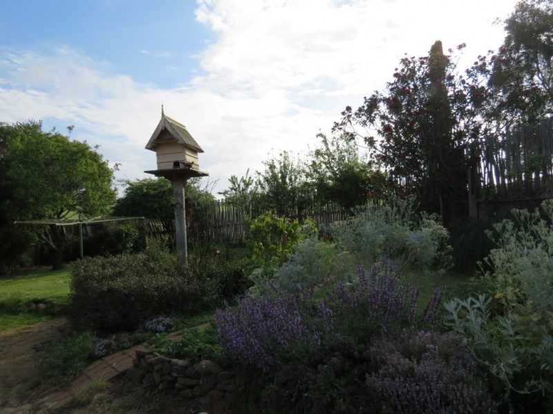 309 Bellamy Road, Forthside TAS 7310