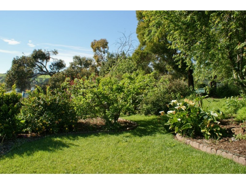 19 Fysh Street, Forth TAS 7310